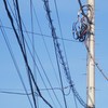 Electric wire and light