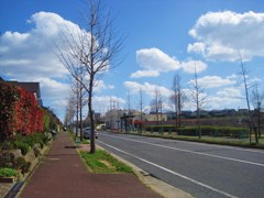 Straight road