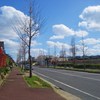 Straight road
