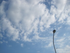 Electric wire and light