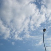 Electric wire and light