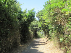 Straight road