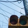 Electric wire and light