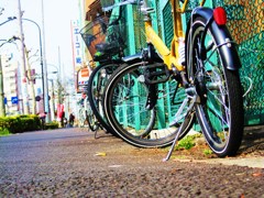 The road sees a bicycle