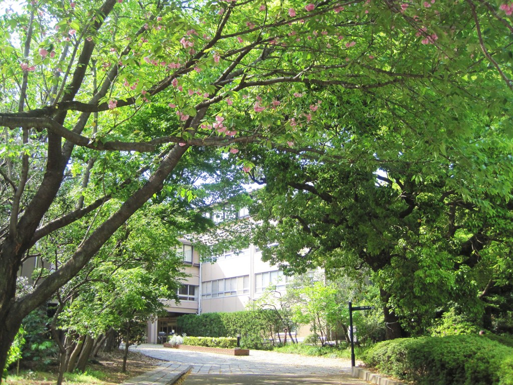 uni summer