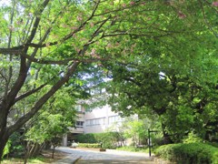 uni summer