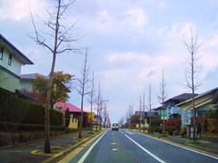 Straight road