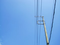 Electric wire and light