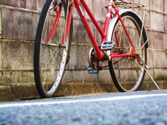 The road sees a bicycle
