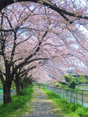 Straight road