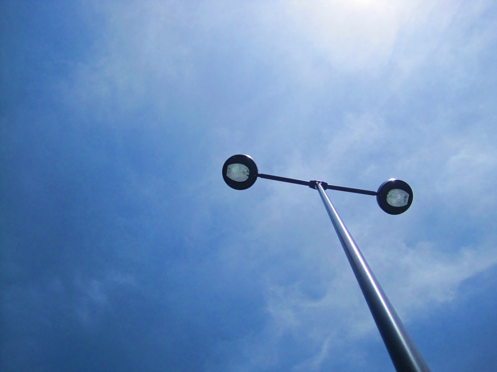 Electric wire and light
