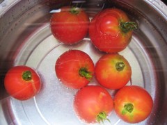 ｔｏｍａｔｏ