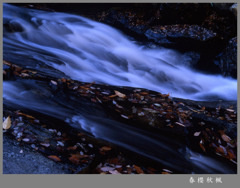 落葉流水
