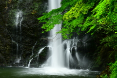 箕面大滝