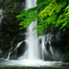 箕面大滝