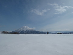 冬の羊蹄山