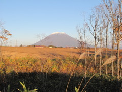 秋の羊蹄山