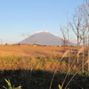 秋の羊蹄山