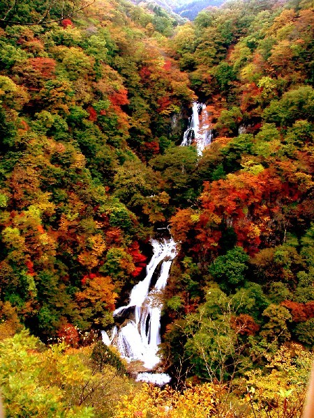 霧降の滝