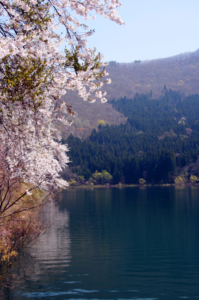 北竜湖