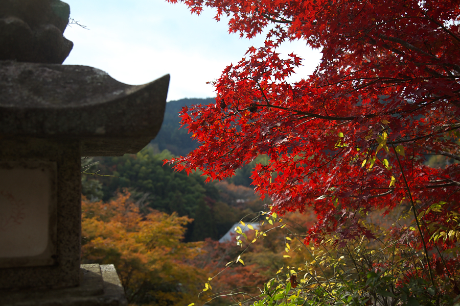 談山神社の紅葉