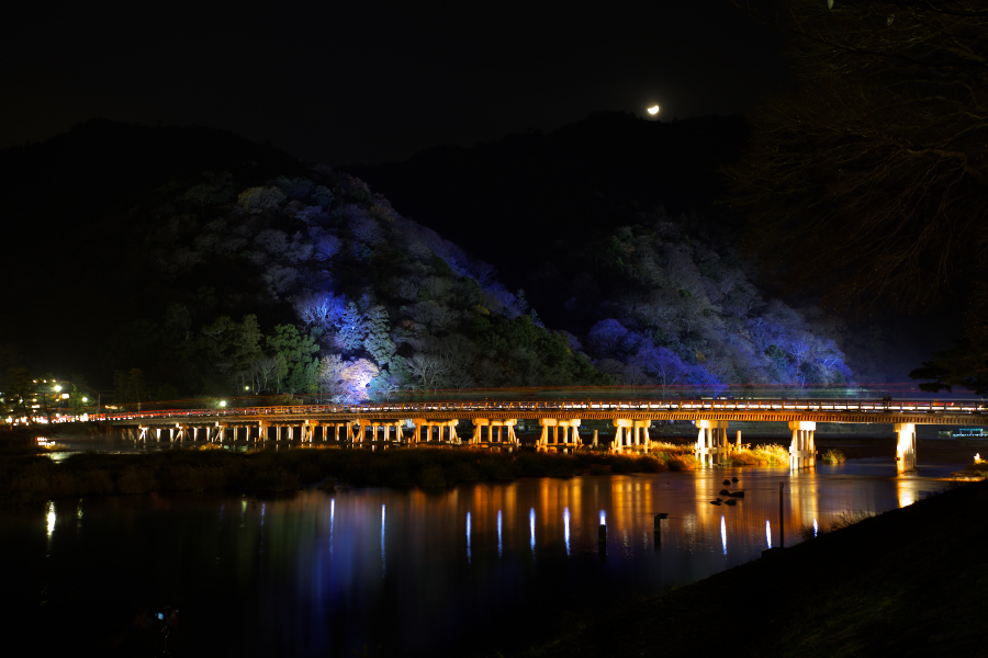 渡月橋（花灯路ver.）