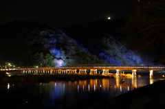 渡月橋（花灯路ver.）