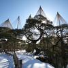 雪吊り