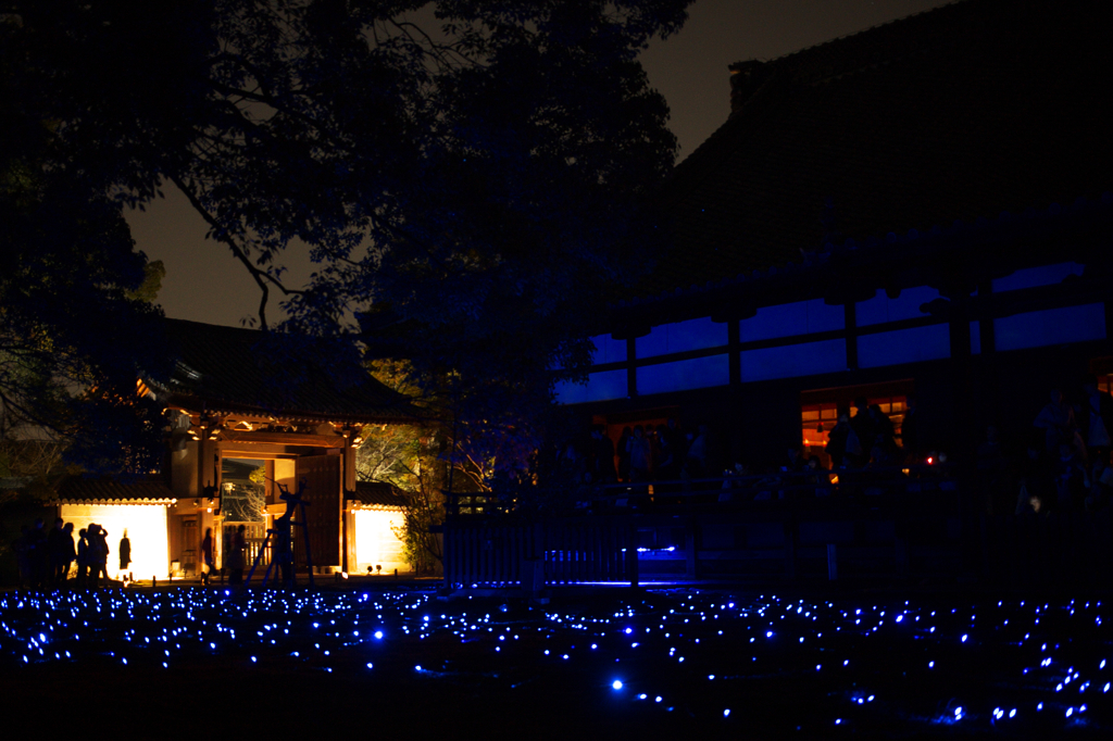 花灯路　青蓮院