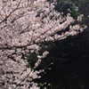 光をあつめて