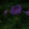 夕涼み