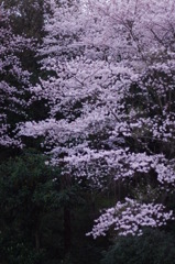 一期一会