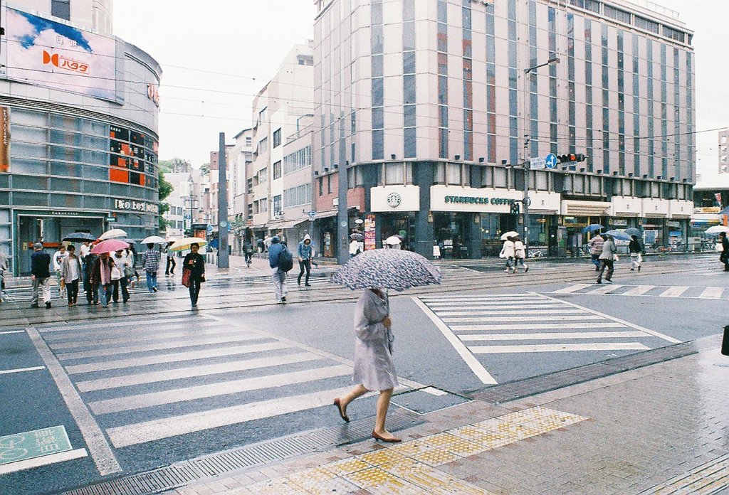 雨の季節へ