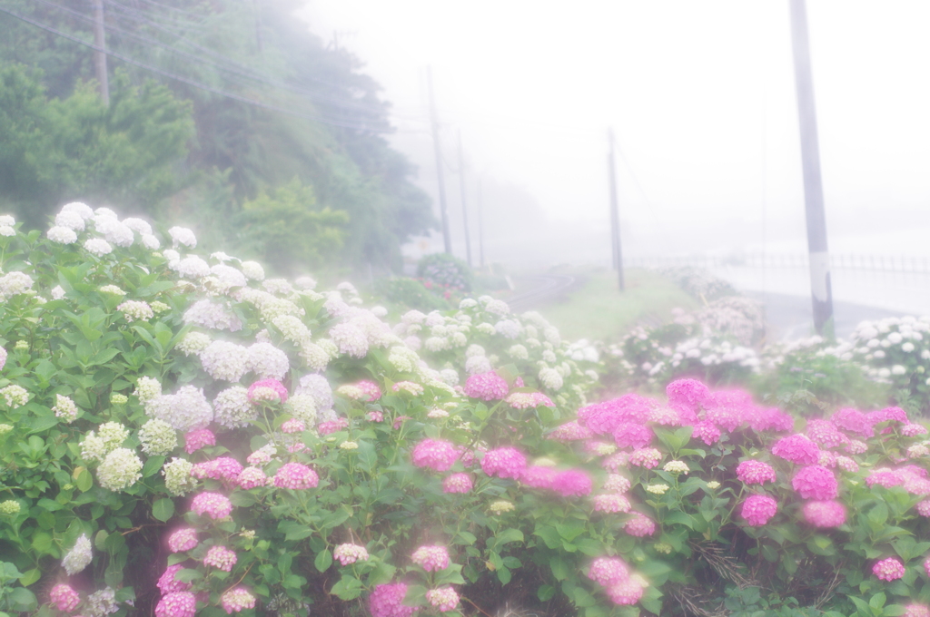 雨