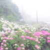 雨