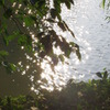 夏が帰る