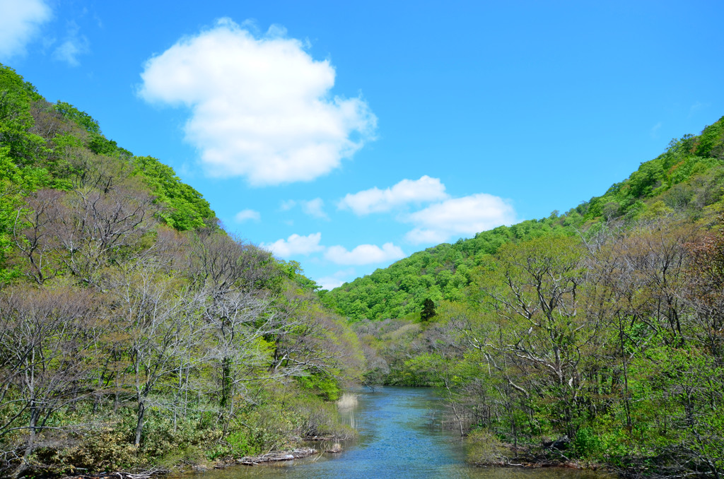 ５月の晴れた日は。。。