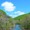 ５月の晴れた日は。。。