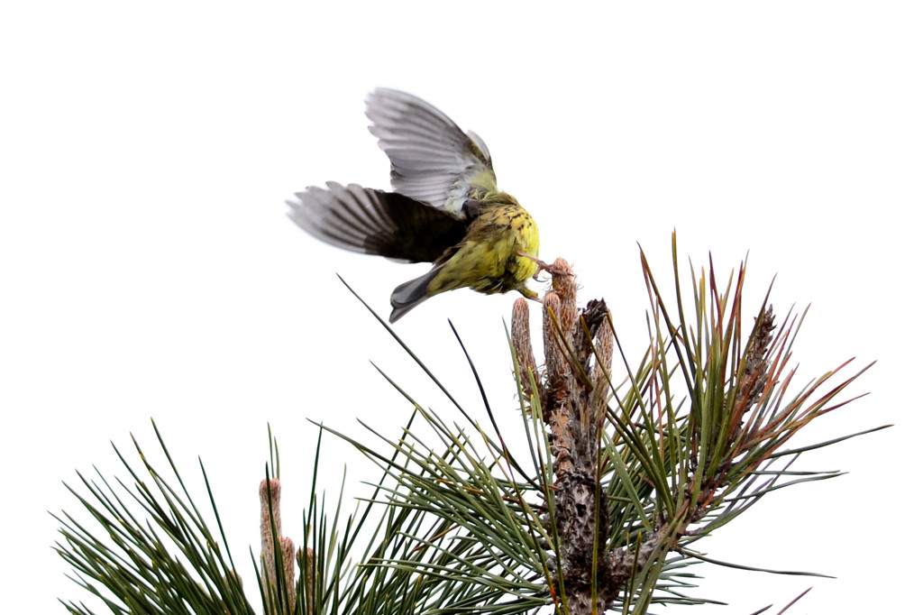 おじさんと言うなー！