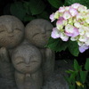 紫陽花とお地蔵さん