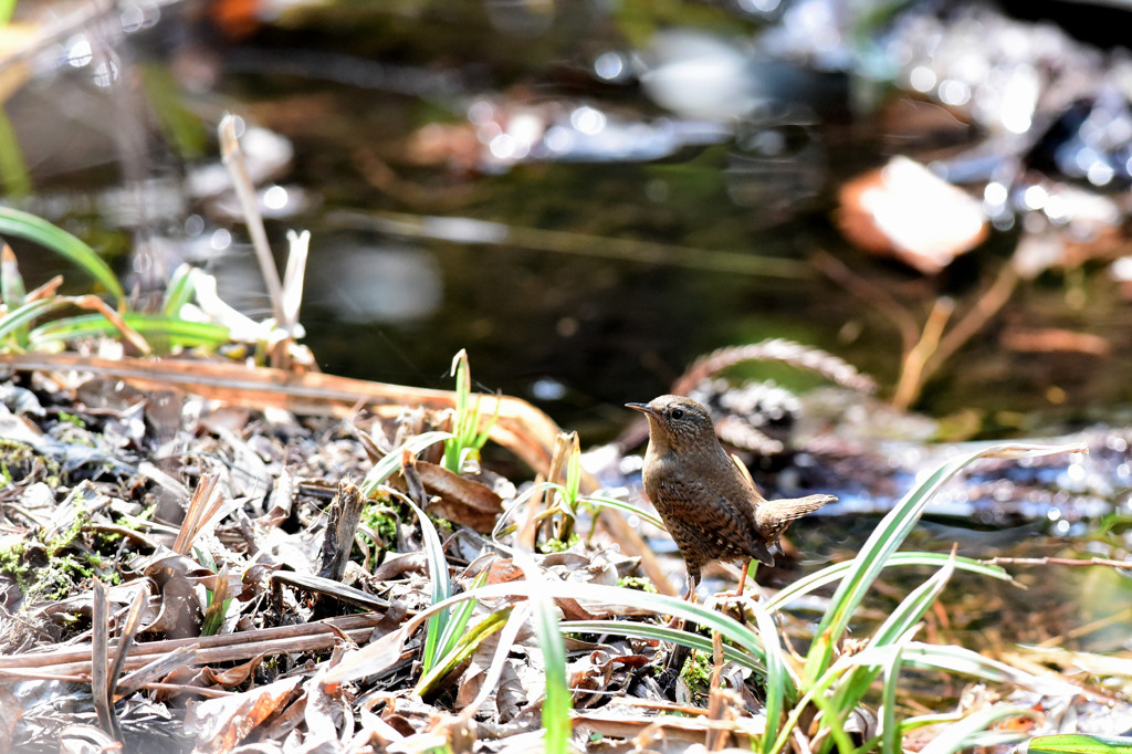 春の陽気に誘われて