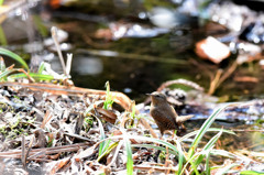 春の陽気に誘われて