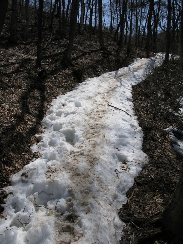 登山道