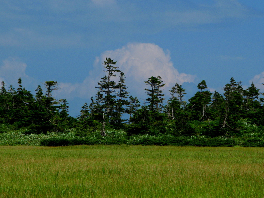 贅沢な風景