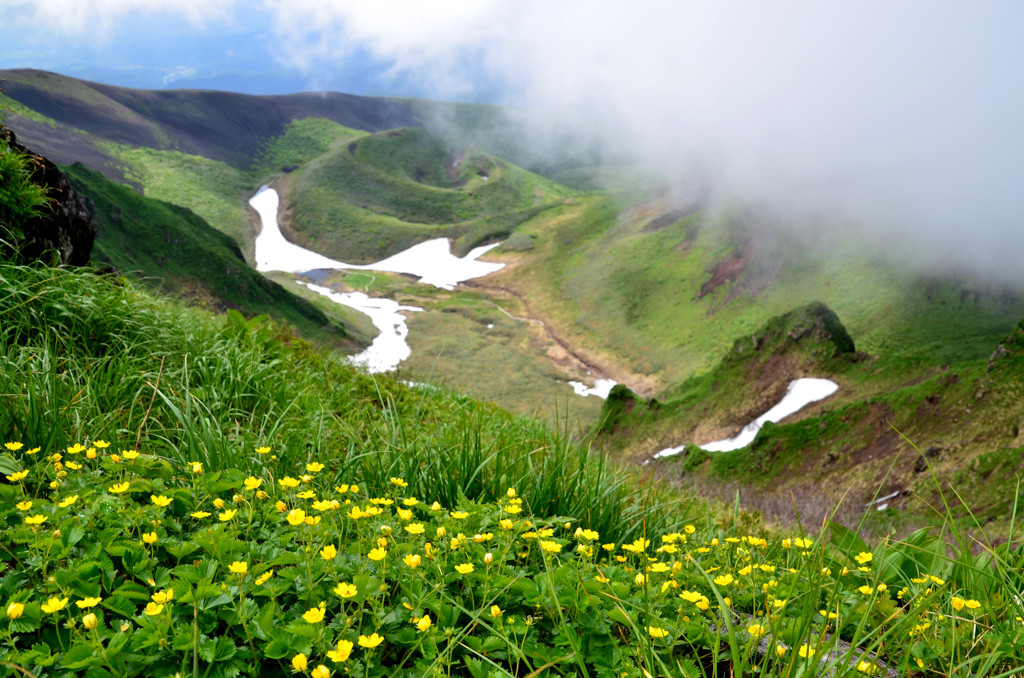 花の山　秋田駒ヶ岳