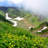 花の山　秋田駒ヶ岳