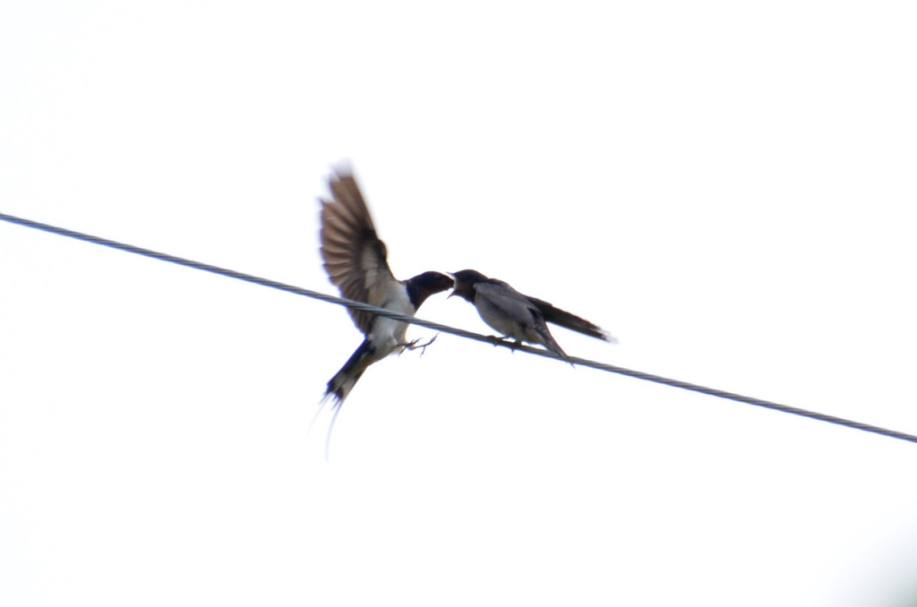 玄関前の出来事