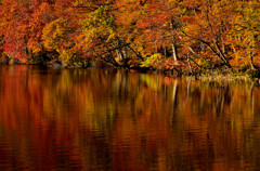 水面に浮かぶ秋風景