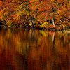 水面に浮かぶ秋風景