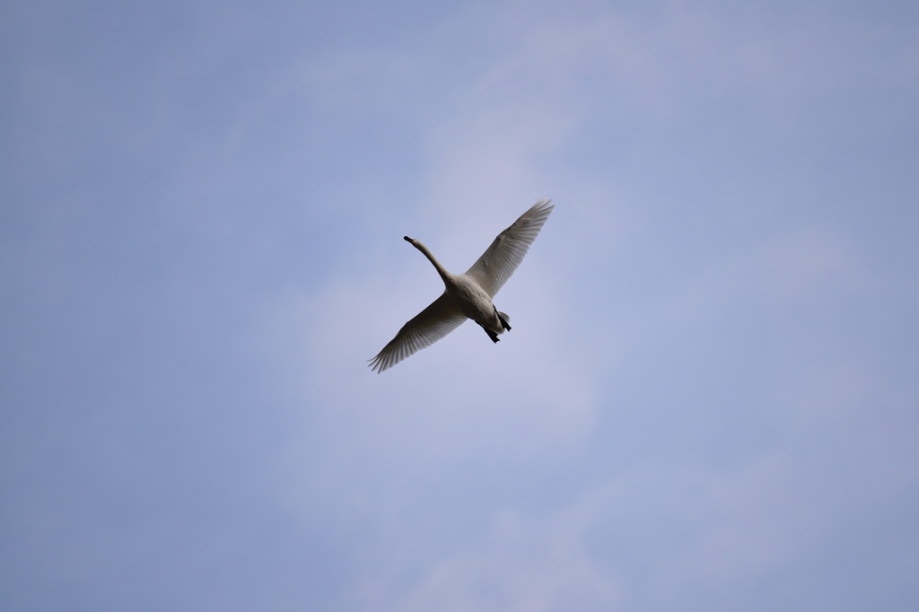 空、高く